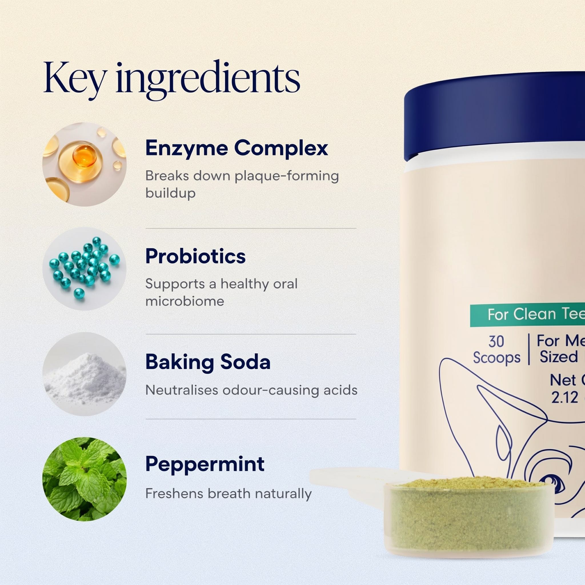 WolfBright Dental Powder