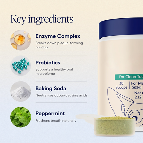 WolfBright Dental Powder