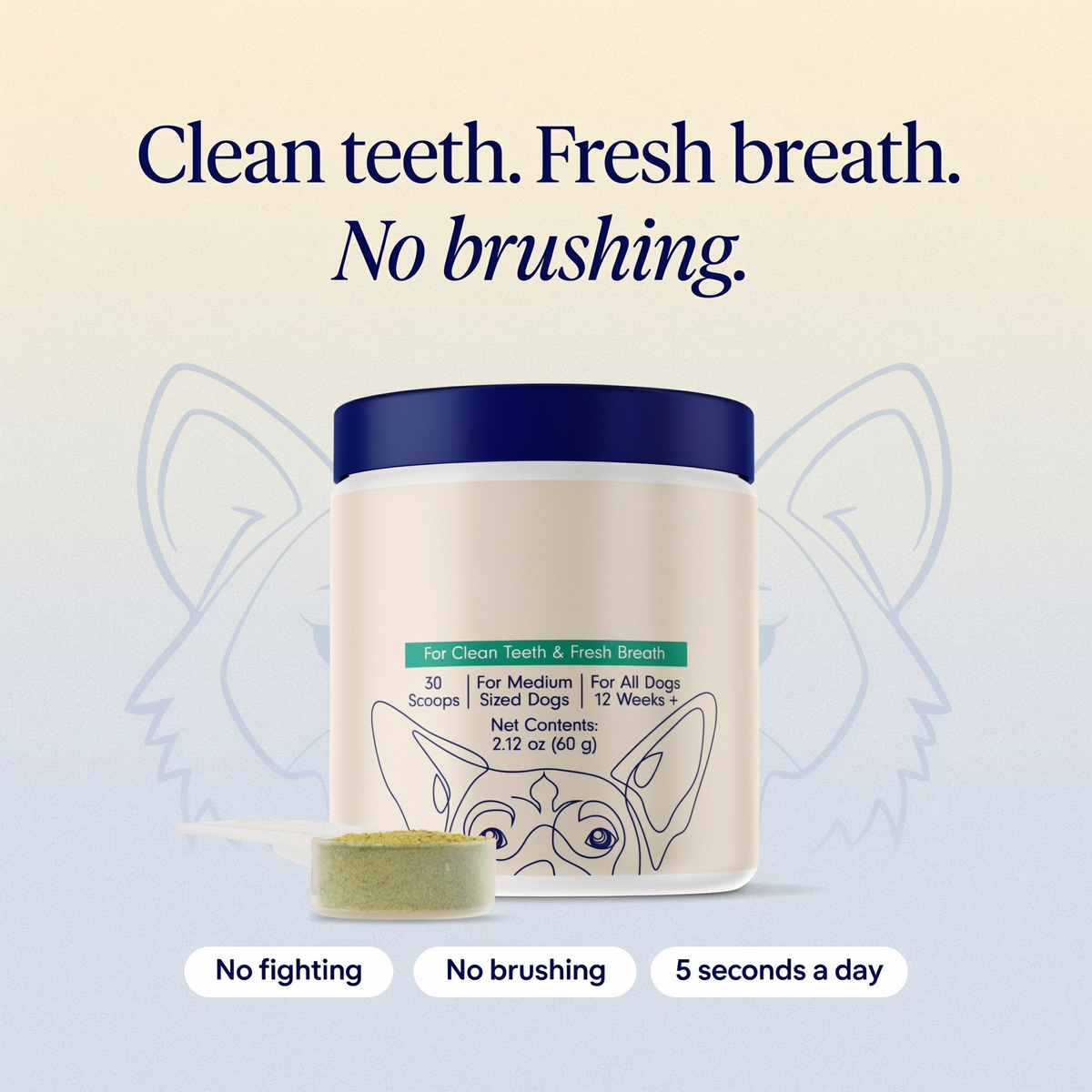WolfBright Dental Powder