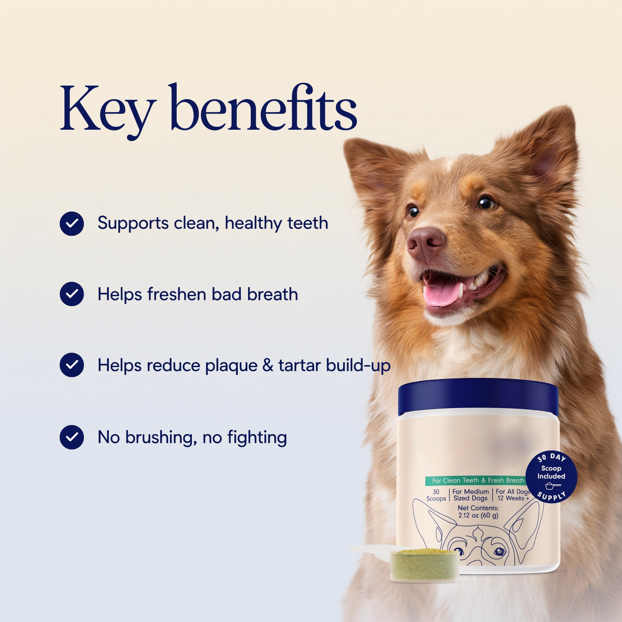 WolfBright Dental Powder