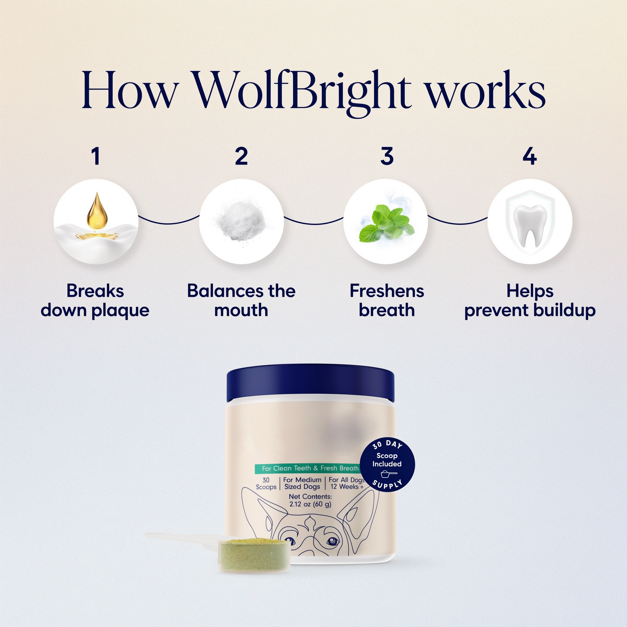 WolfBright Dental Powder