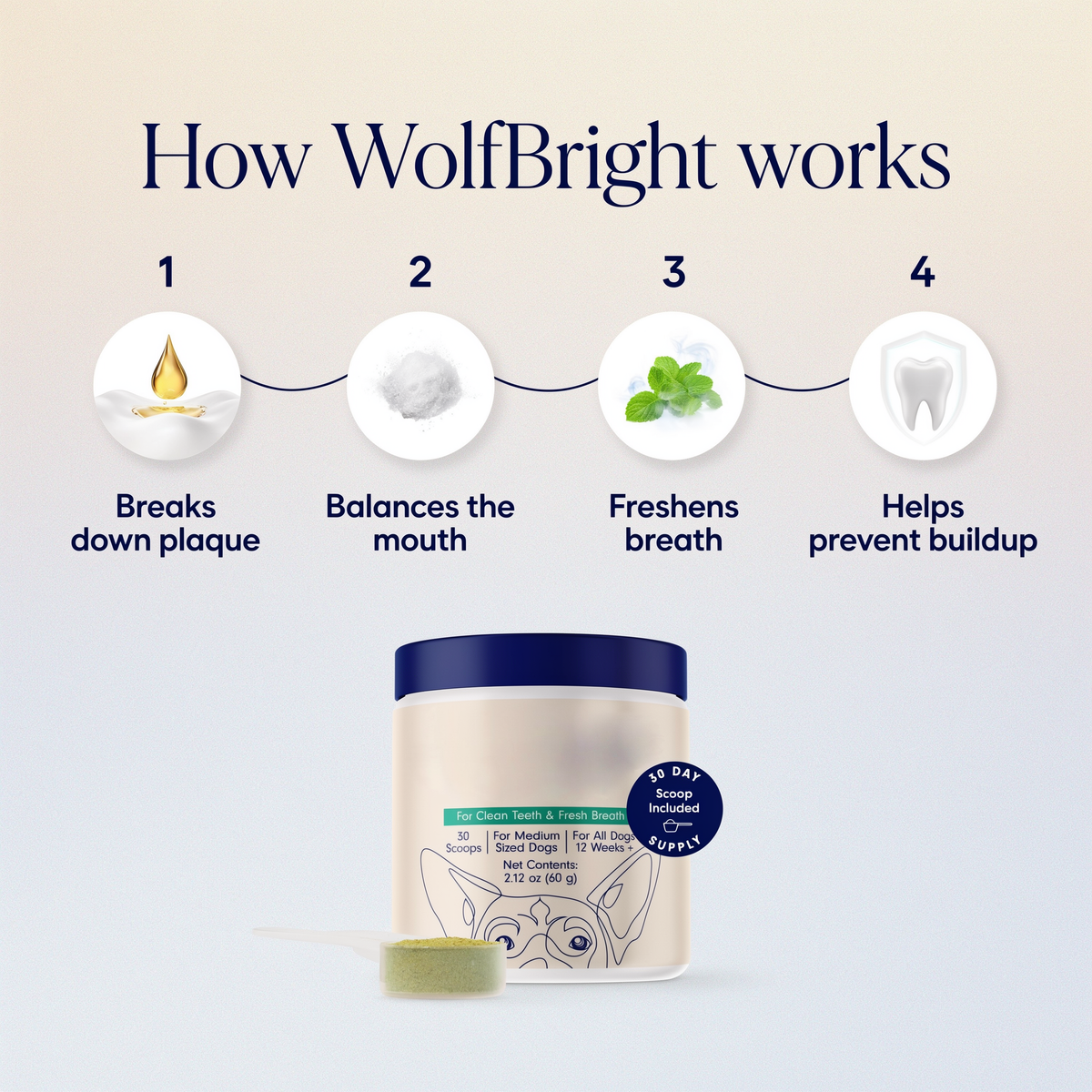 WolfBright Dental Powder